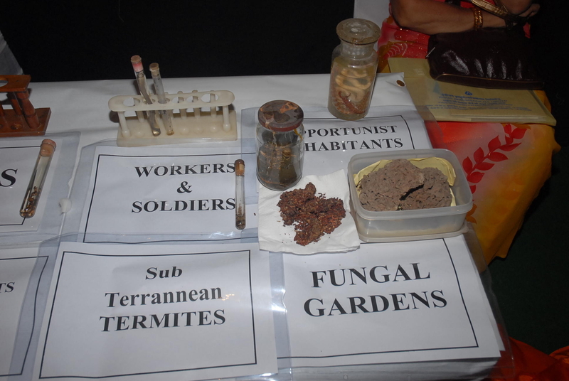 Technical Show