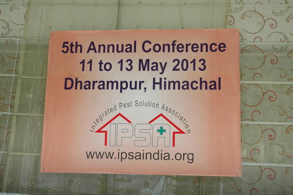 Venue 2013