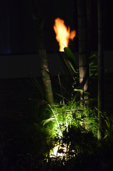 Evening Event Environment