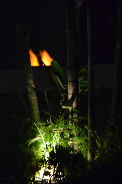Evening Event Environment