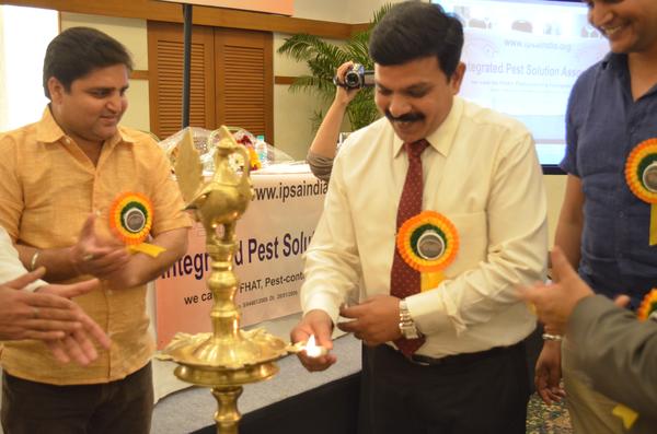Lamp Lighting