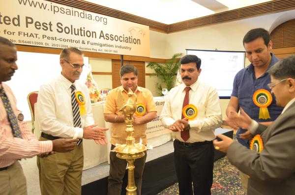 Lamp Lighting