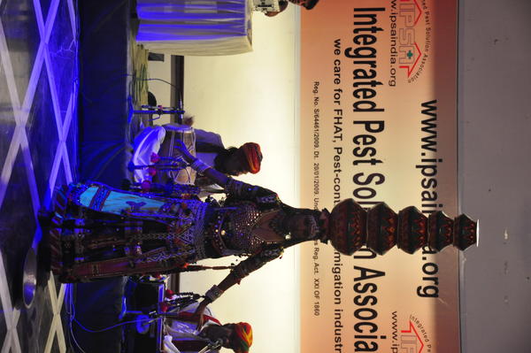 IPSA Conference 2015, photo 160