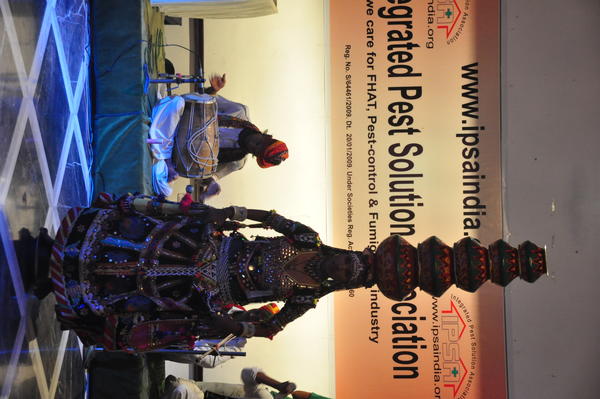 IPSA Conference 2015, photo 162