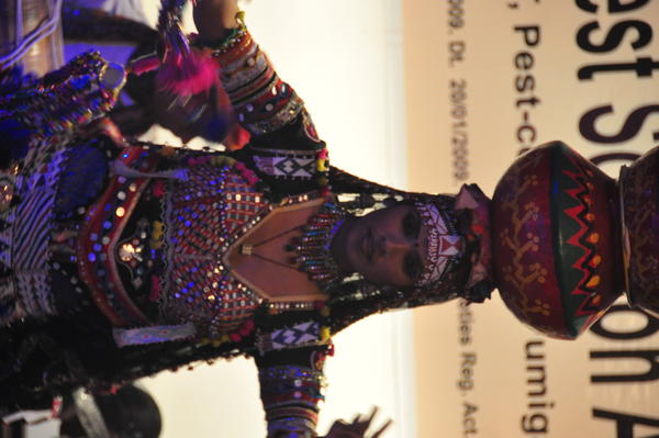 IPSA Conference 2015, photo 163