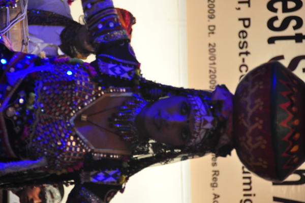 IPSA Conference 2015, photo 167