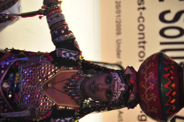 IPSA Conference 2015, photo 168