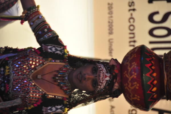 IPSA Conference 2015, photo 169