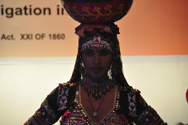 IPSA Conference 2015, photo 174