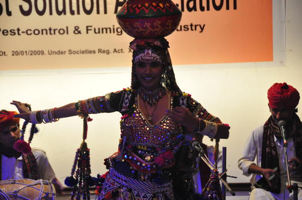 IPSA Conference 2015, photo 175