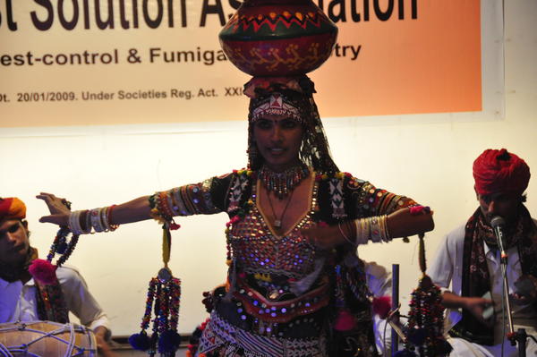 IPSA Conference 2015, photo 176