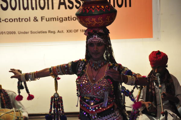 IPSA Conference 2015, photo 177