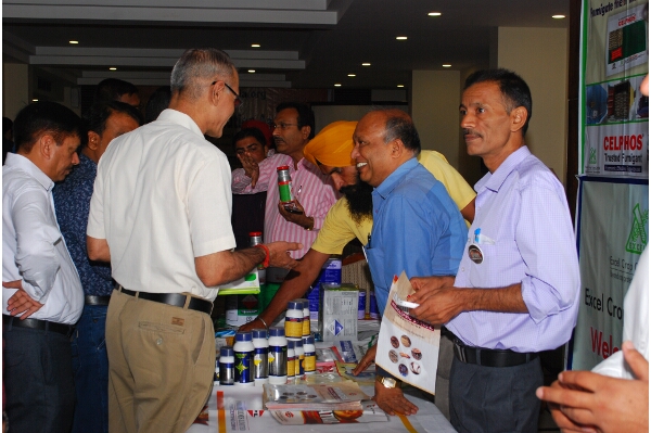IPSA Conference 2016, photo 239