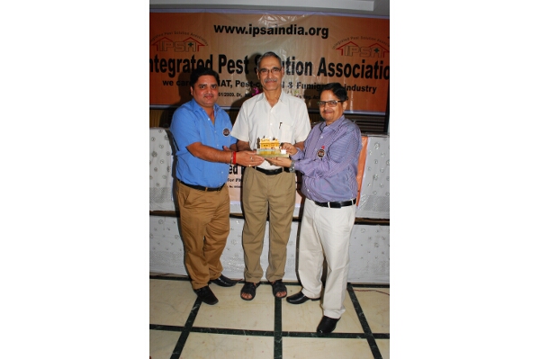 IPSA Conference 2016, photo 358