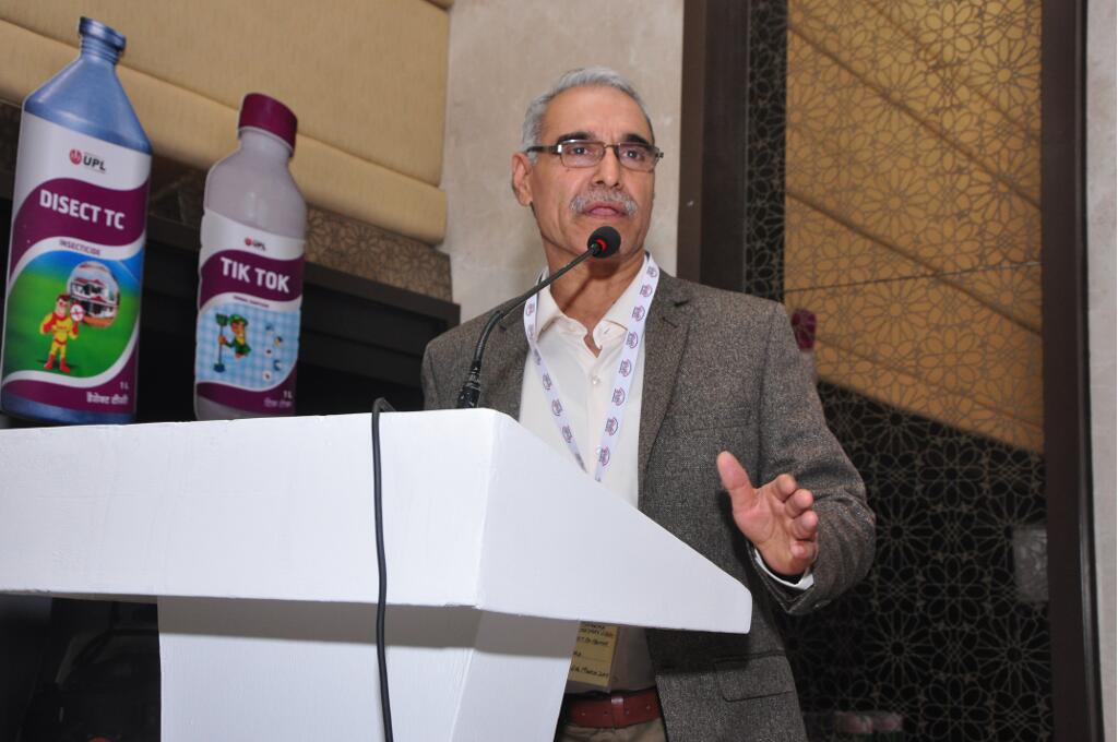 IPSA Conference 2017, photo 28