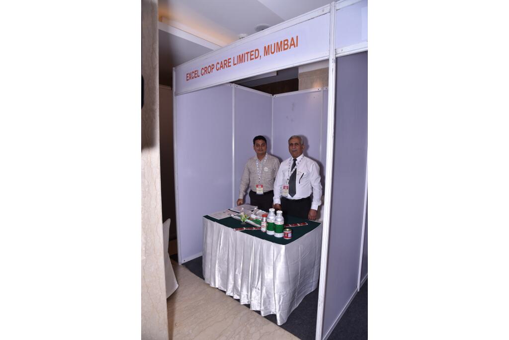 IPSA Conference 2018, photo 6