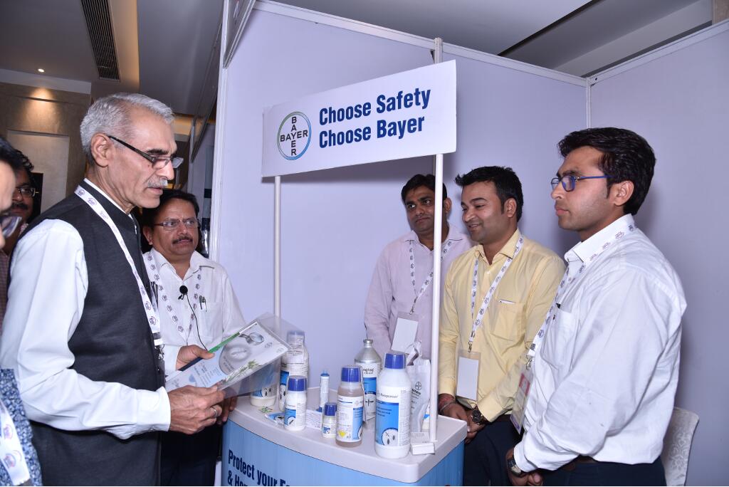 IPSA Conference 2018, photo 133