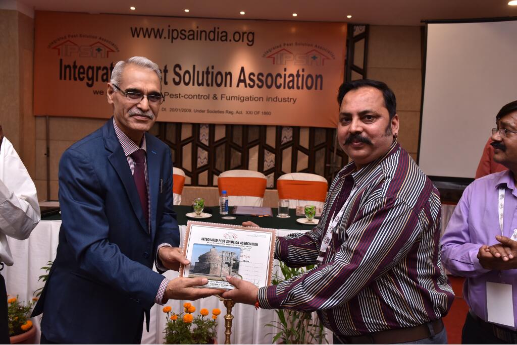 IPSA Conference 2018, photo 279